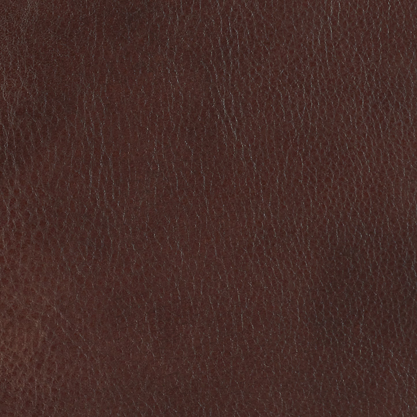 219-220 Leather