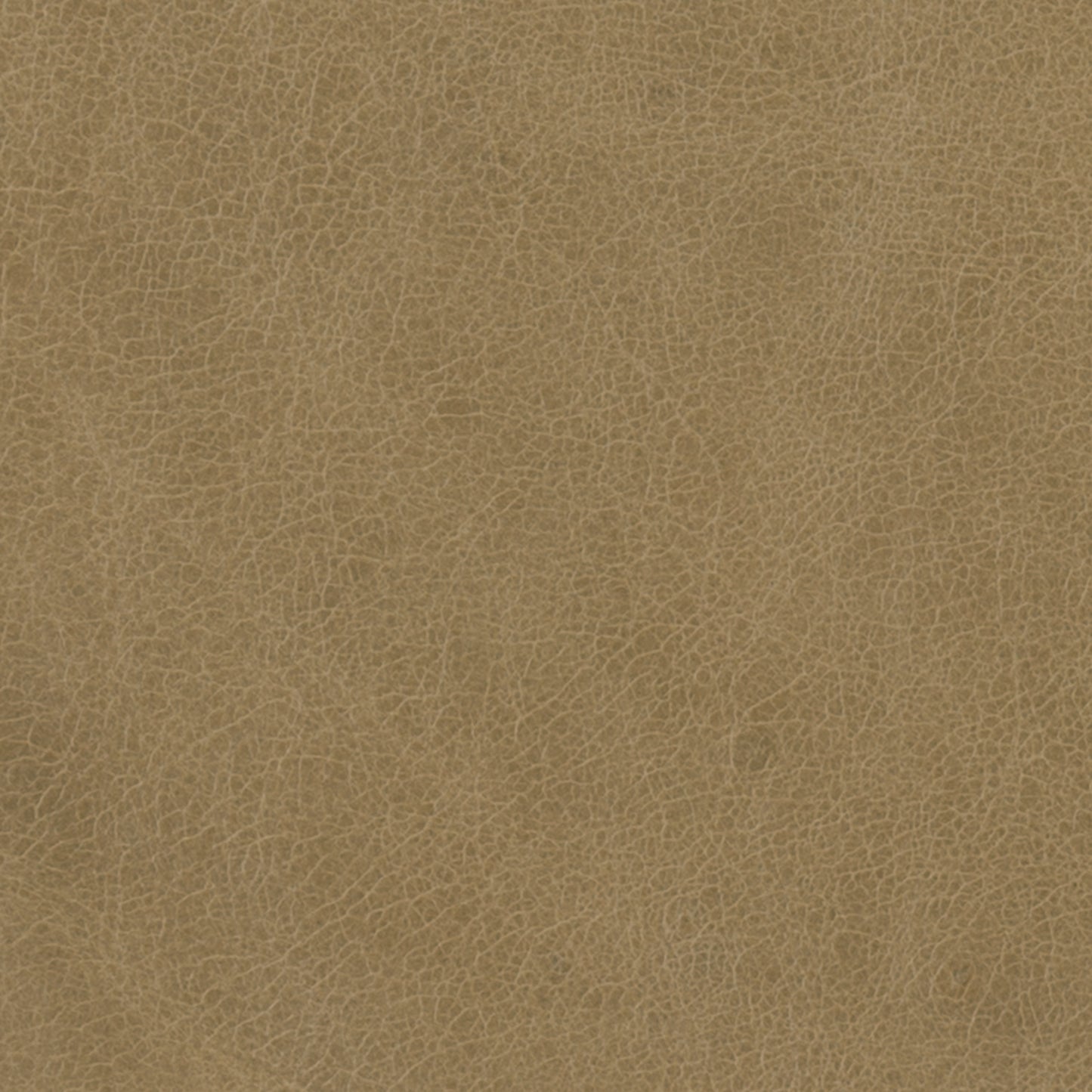 296-002 Leather