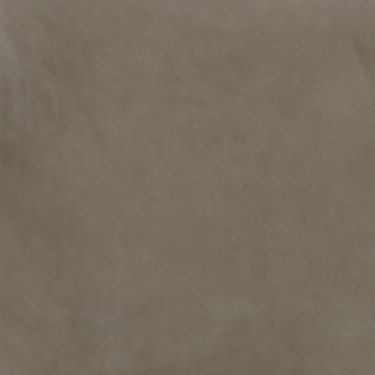 204-010 Leather