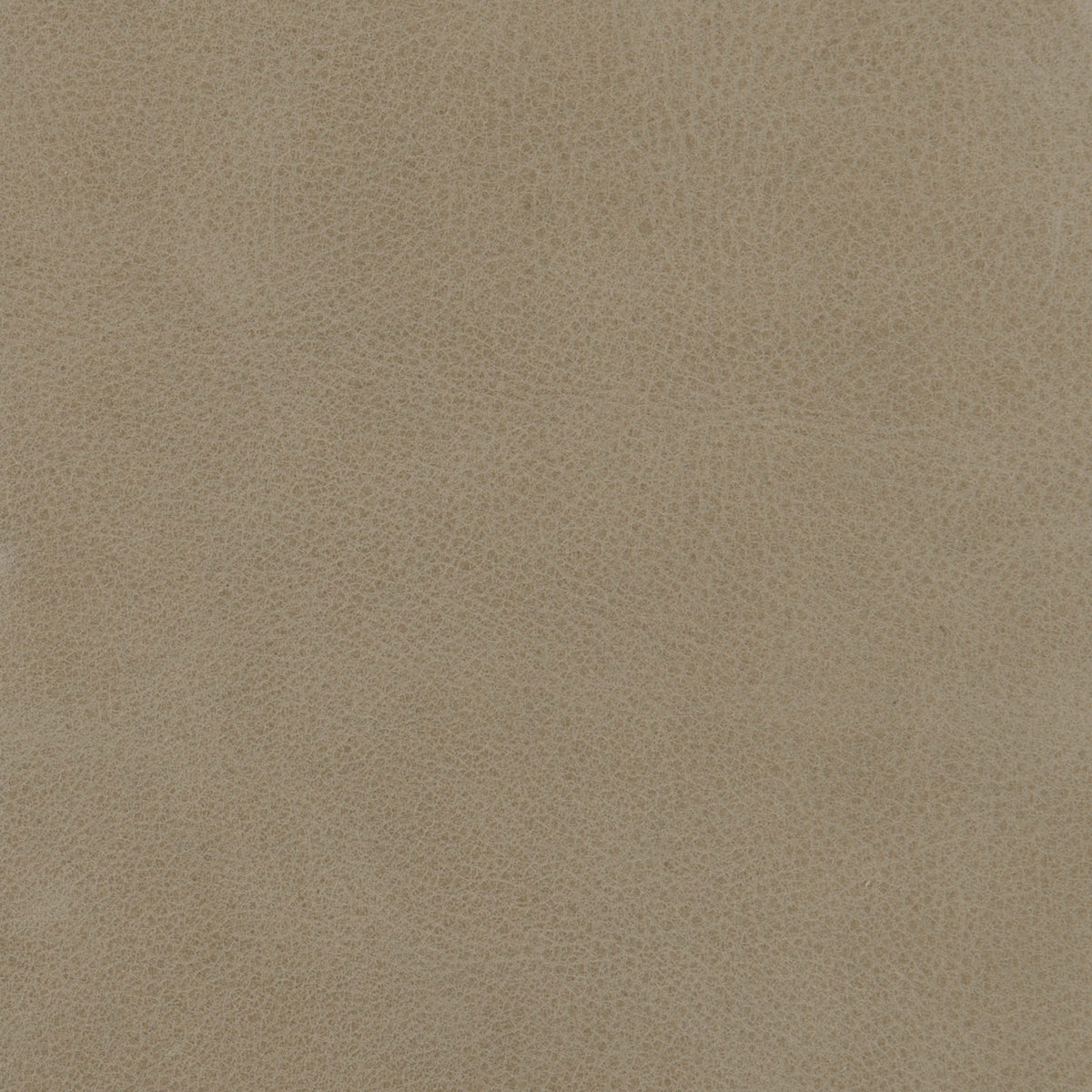 298-202 Leather