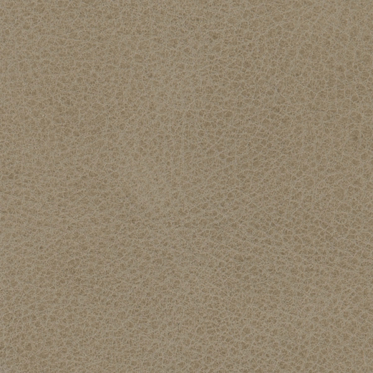 298-202 Leather