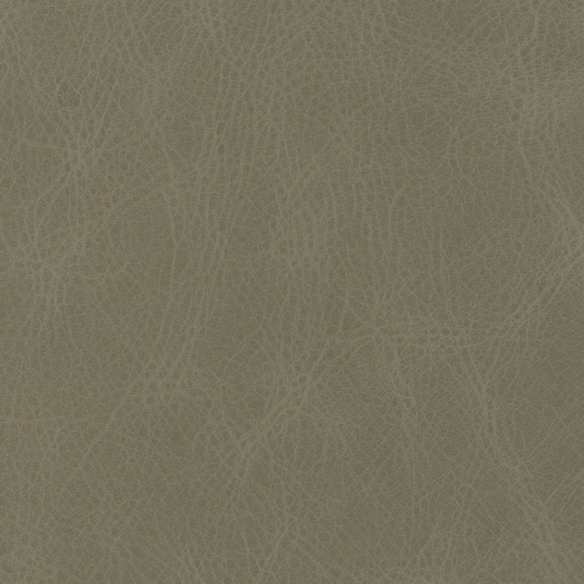 344-030 Leather
