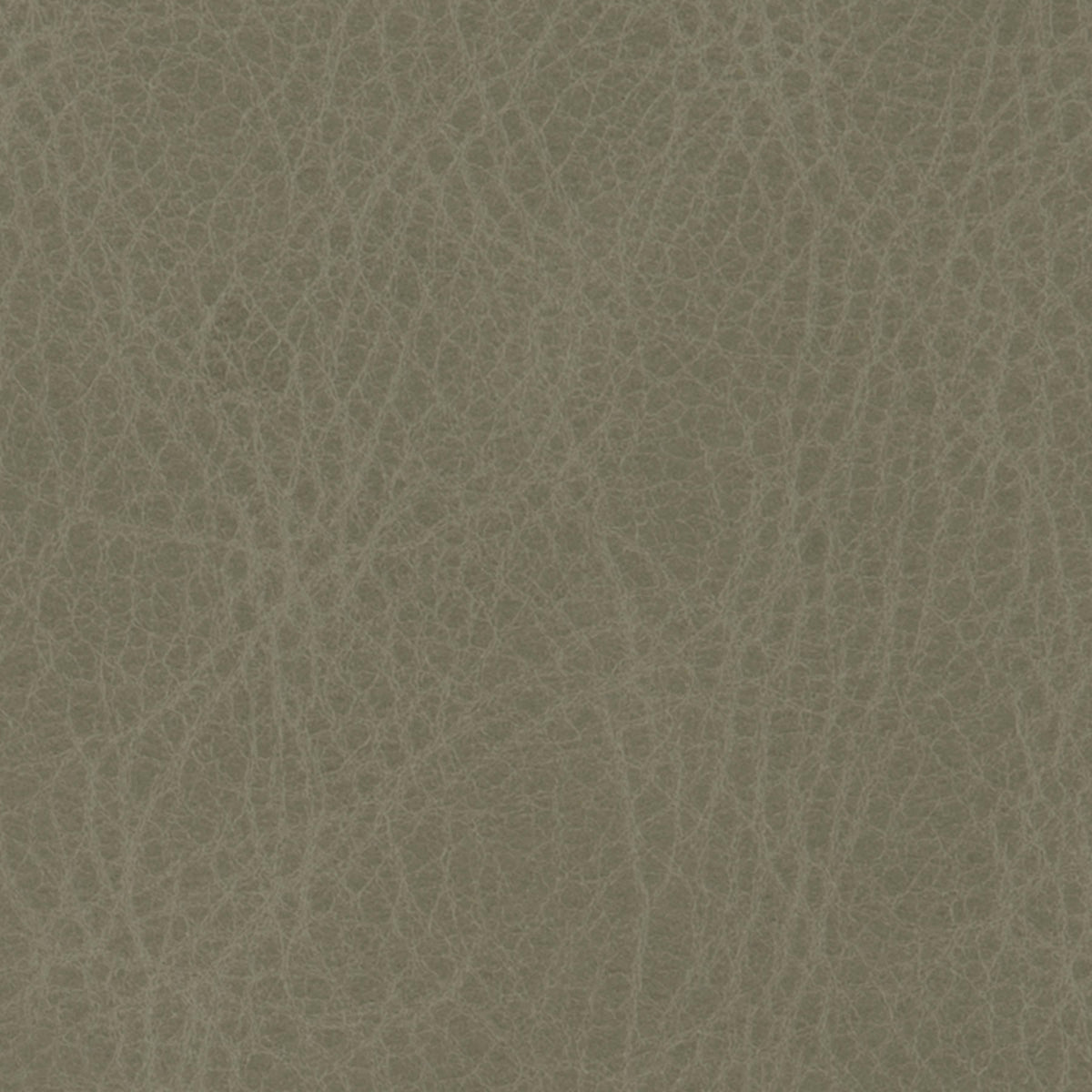 344-030 Leather