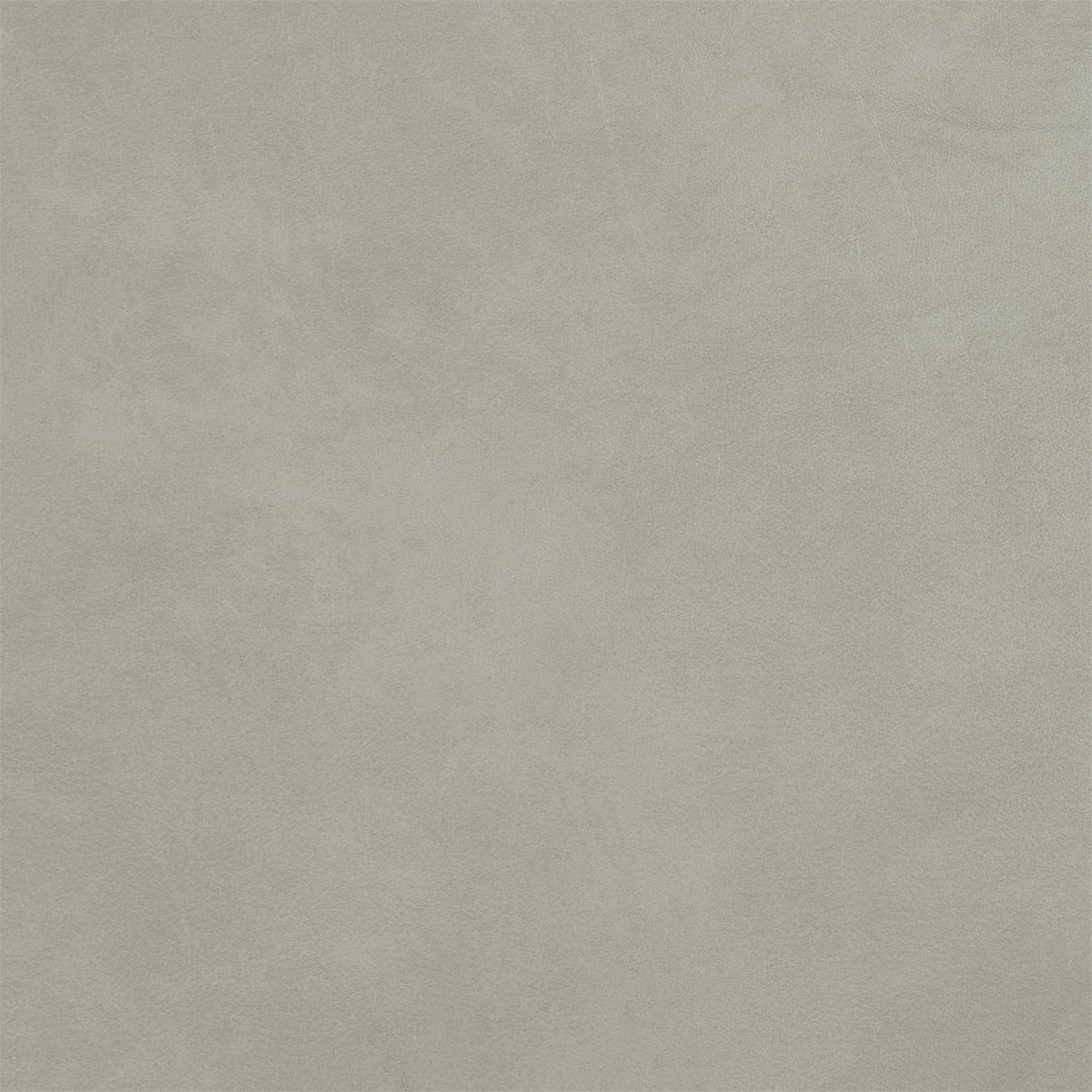 348-010 Leather