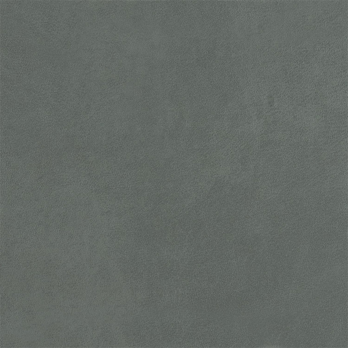 348-041 Leather