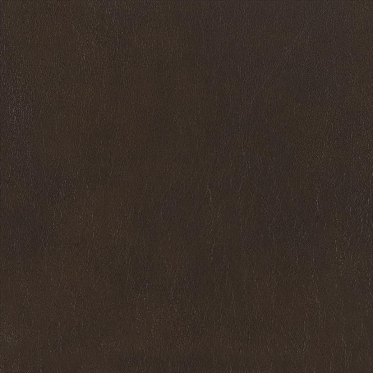 348-220 Leather