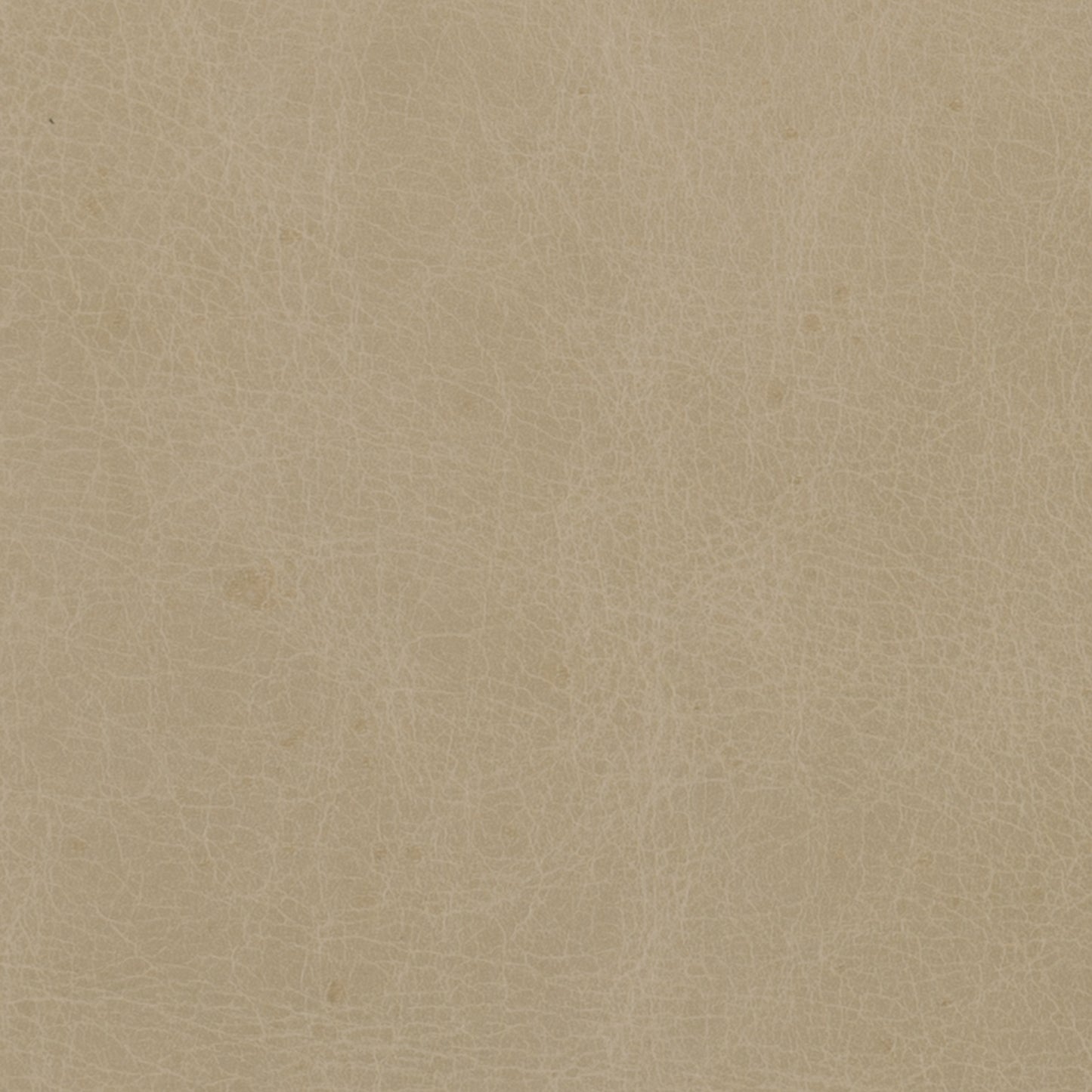 296-012 Leather