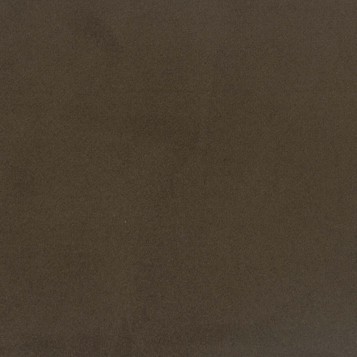 1619-220 Fabric