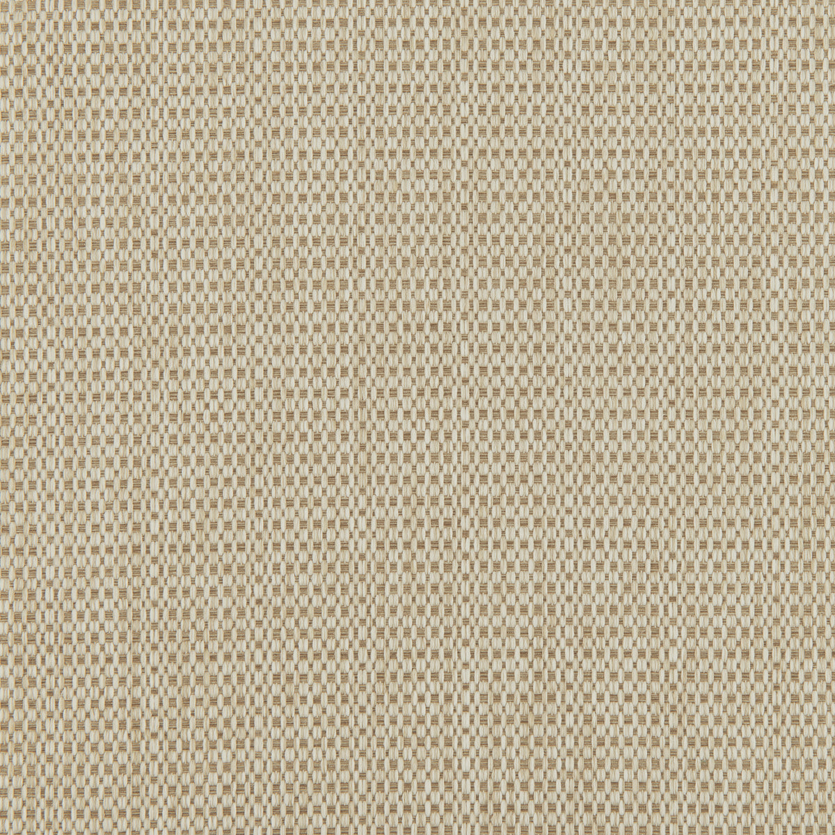 5538-012 Fabric
