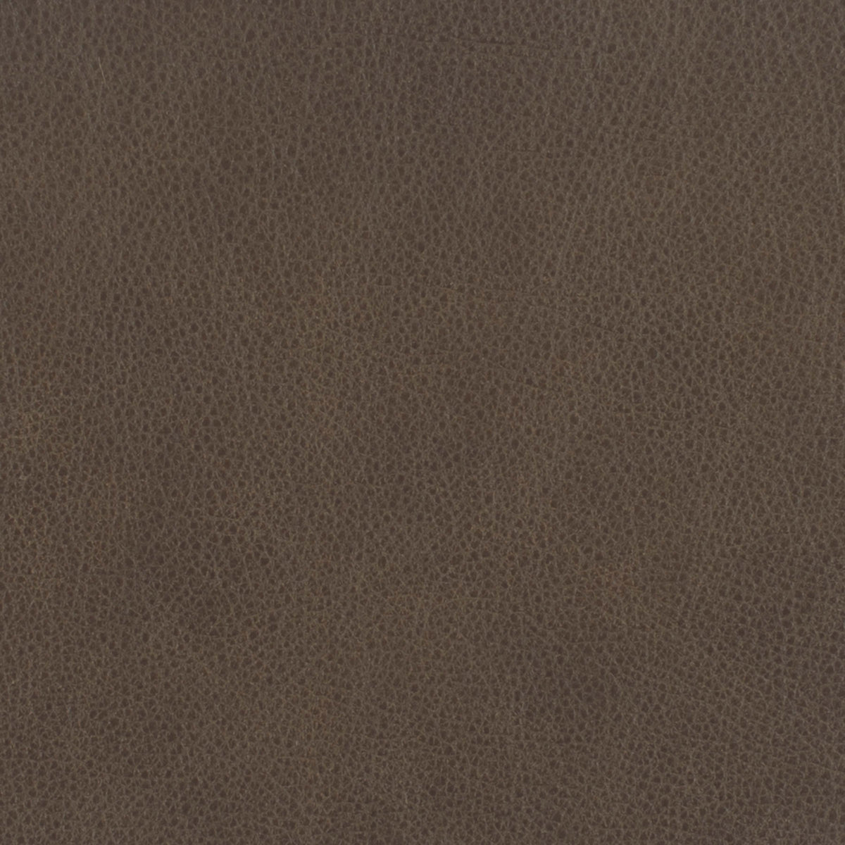321-220 Leather