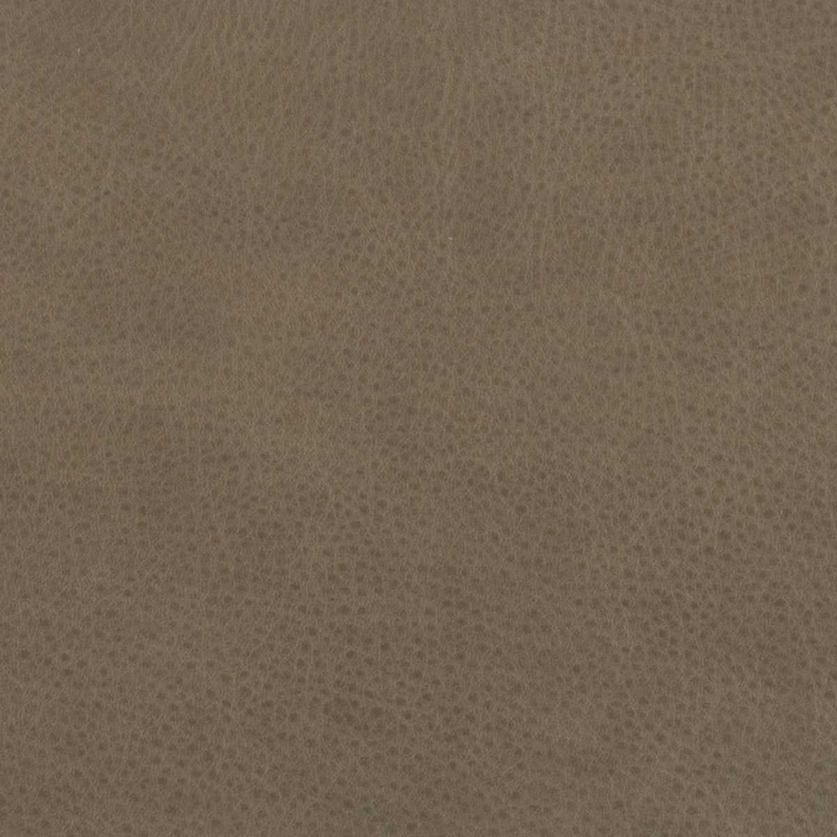298-122 Leather