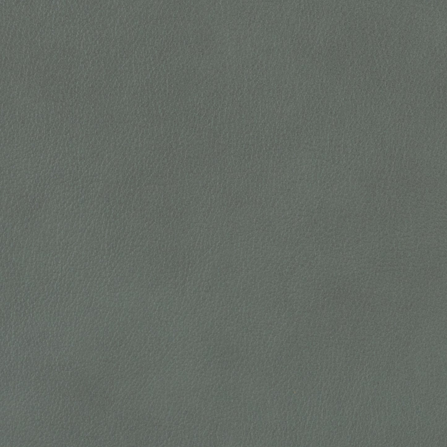 360-041 Leather