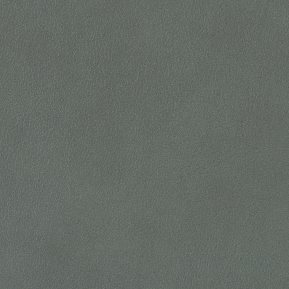 360-041 Leather
