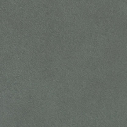 360-041 Leather