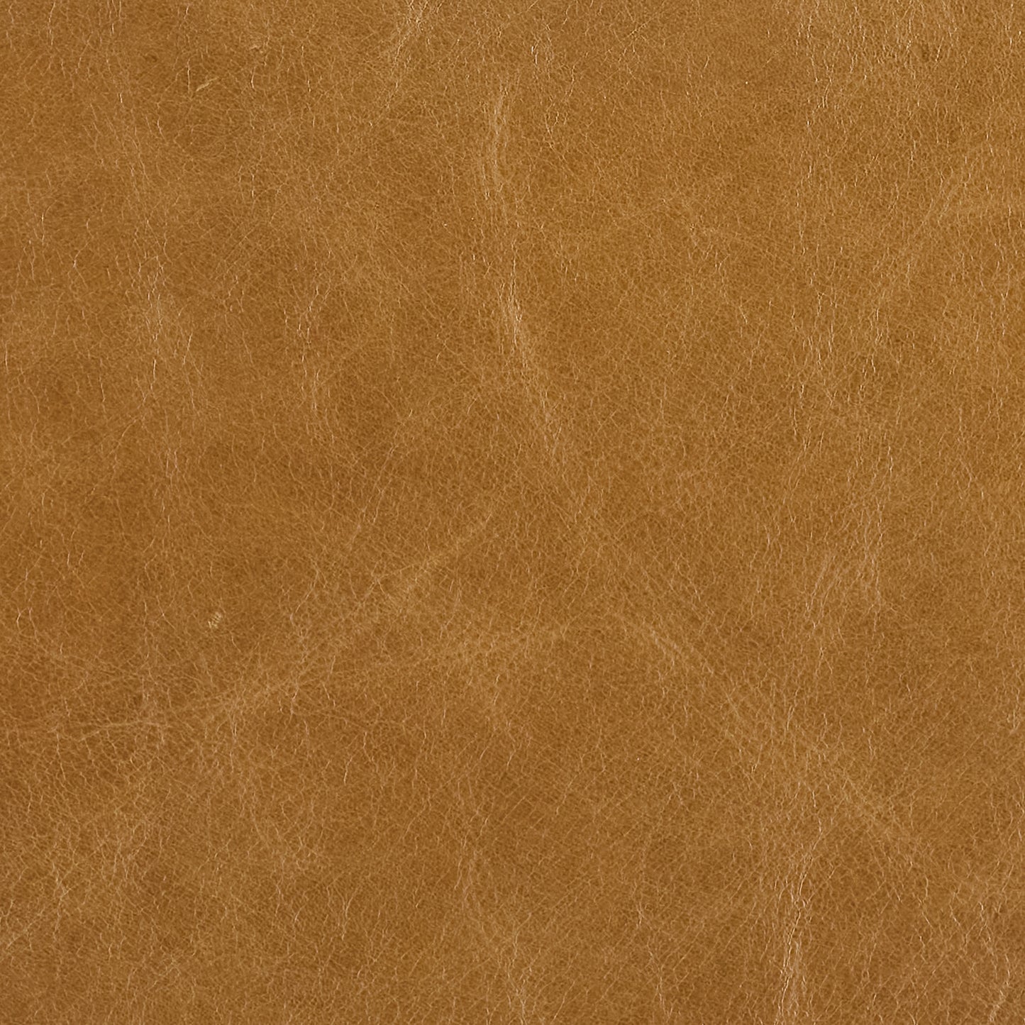 296-020 Leather