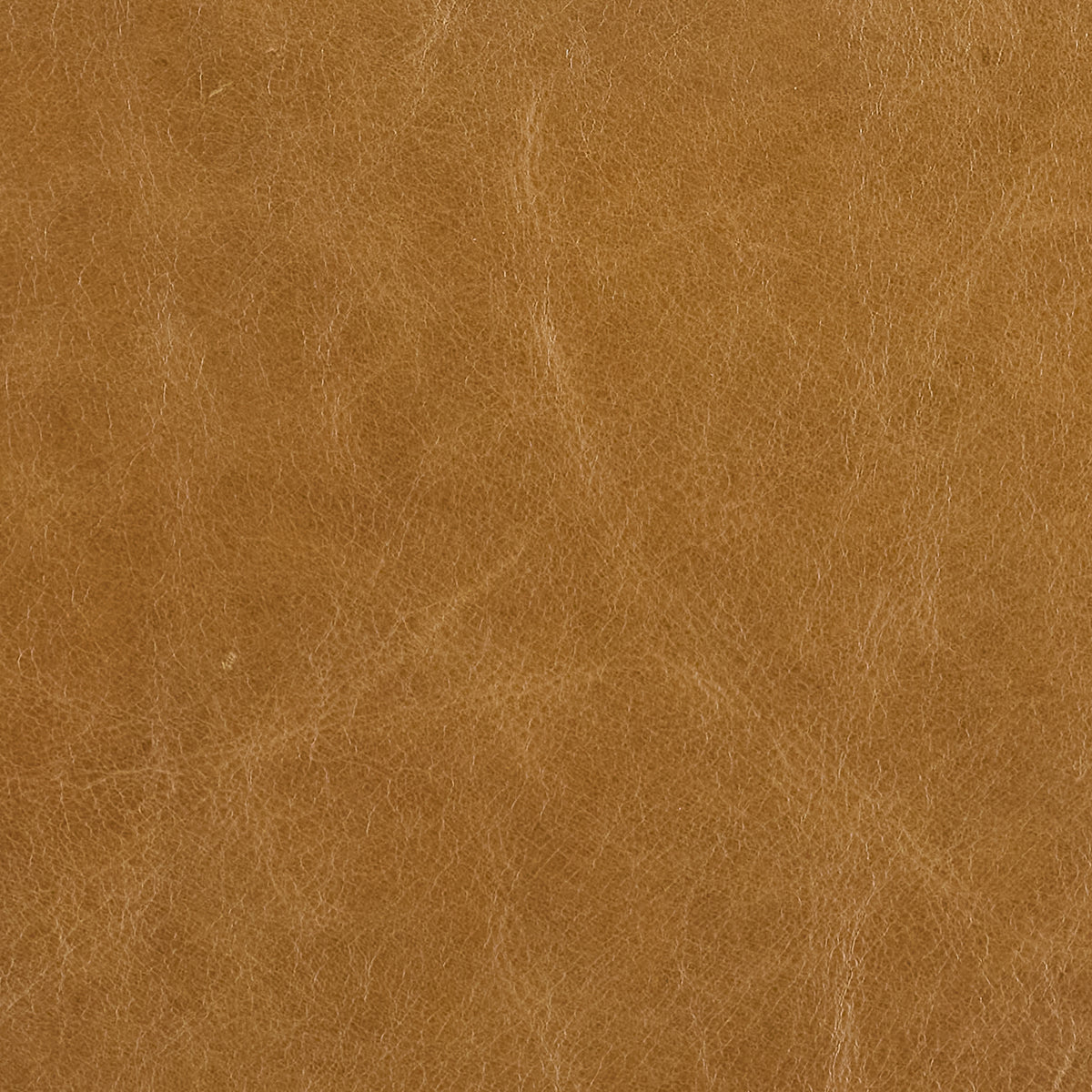 296-020 Leather