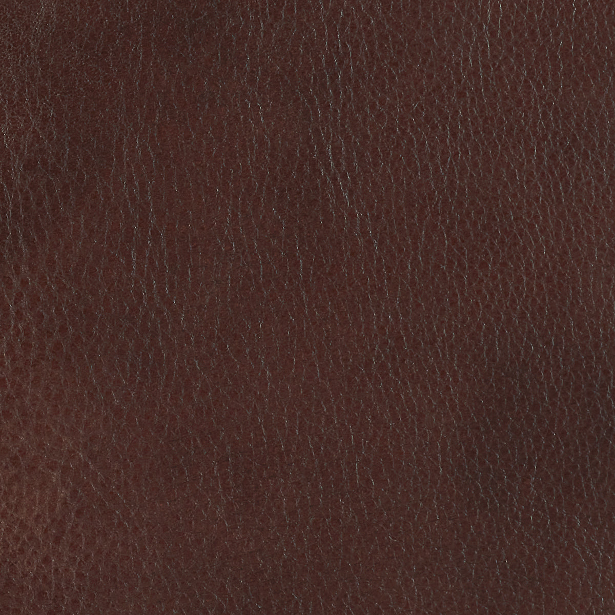 219-220 Leather