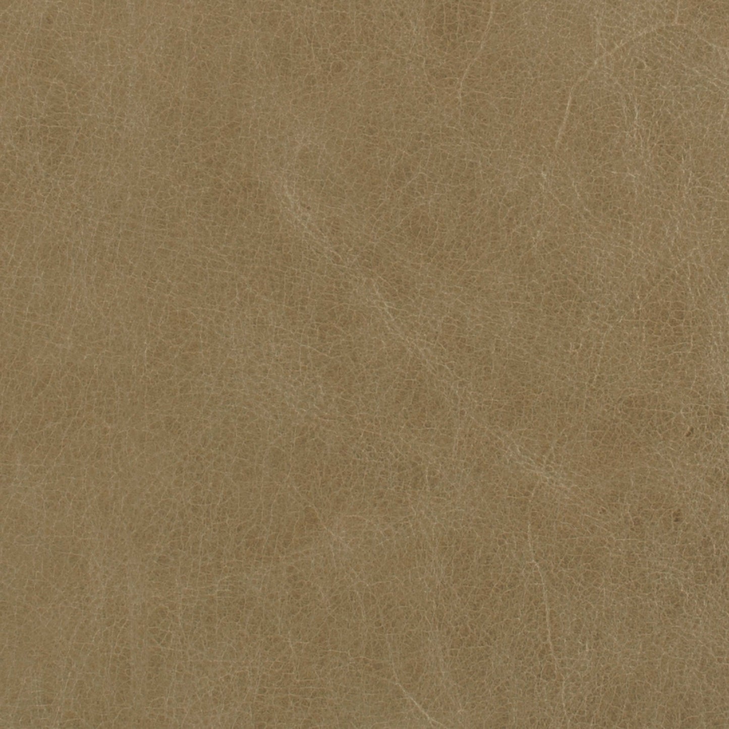 296-002 Leather