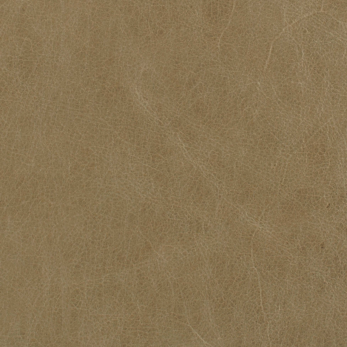 296-002 Leather
