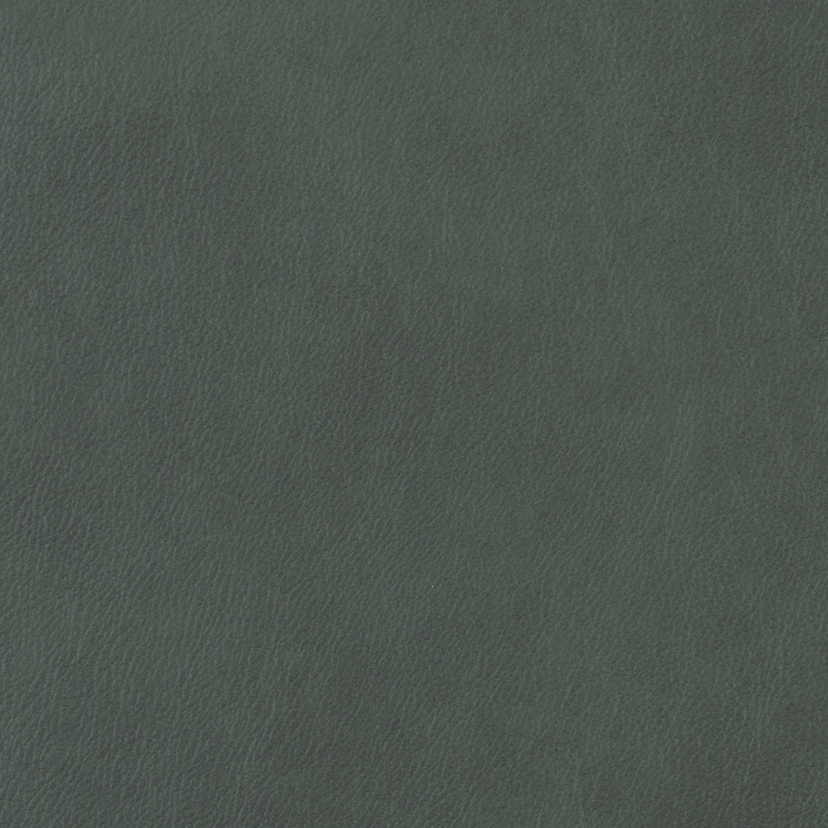 360-033 Leather