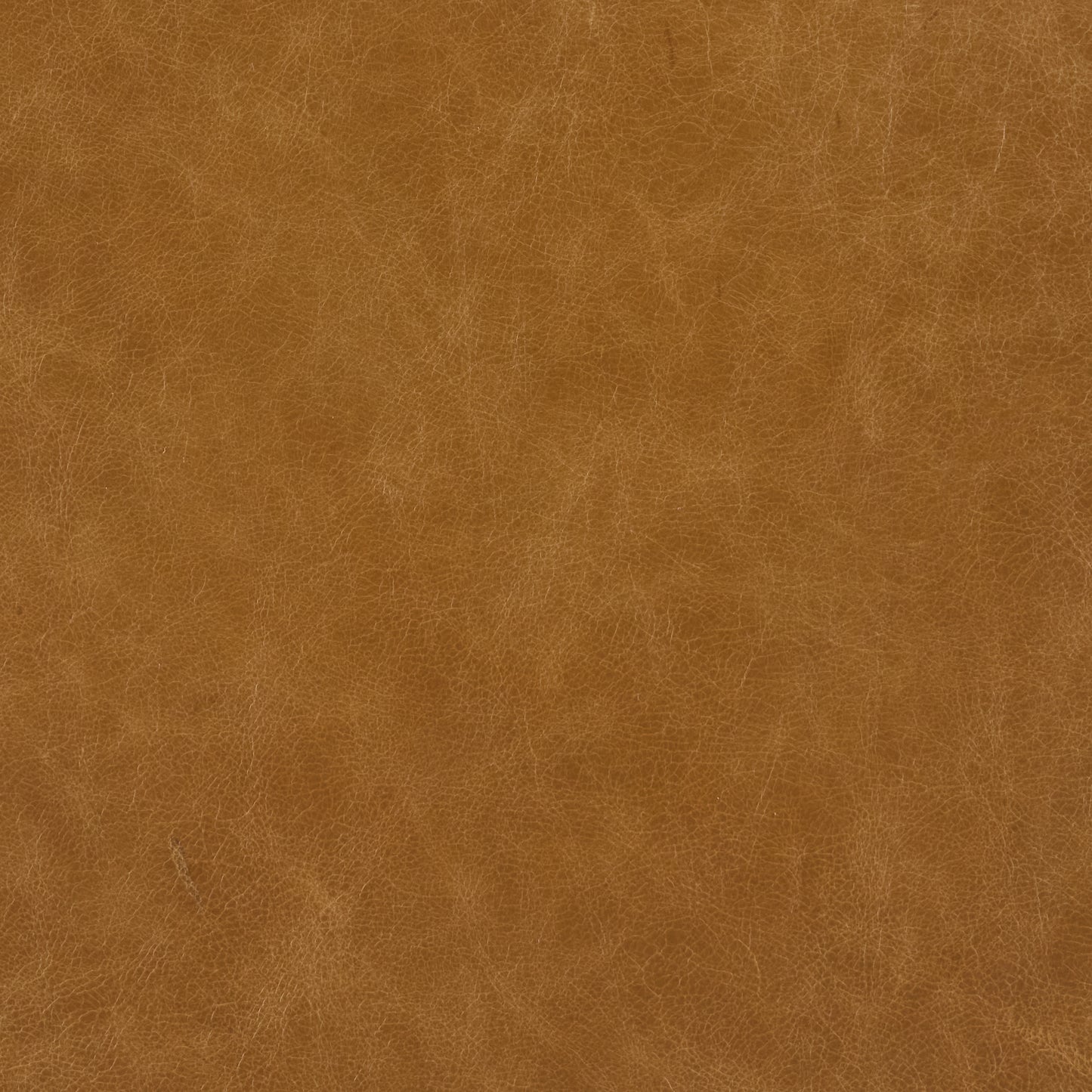 296-020 Leather