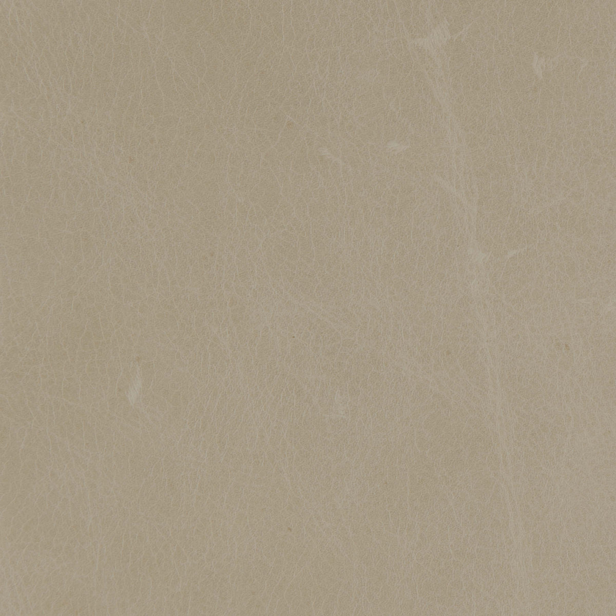 296-012 Leather