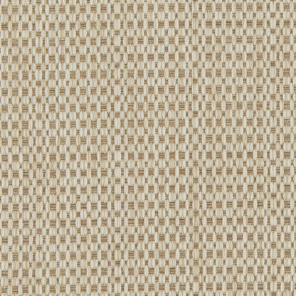 5538-012 Fabric