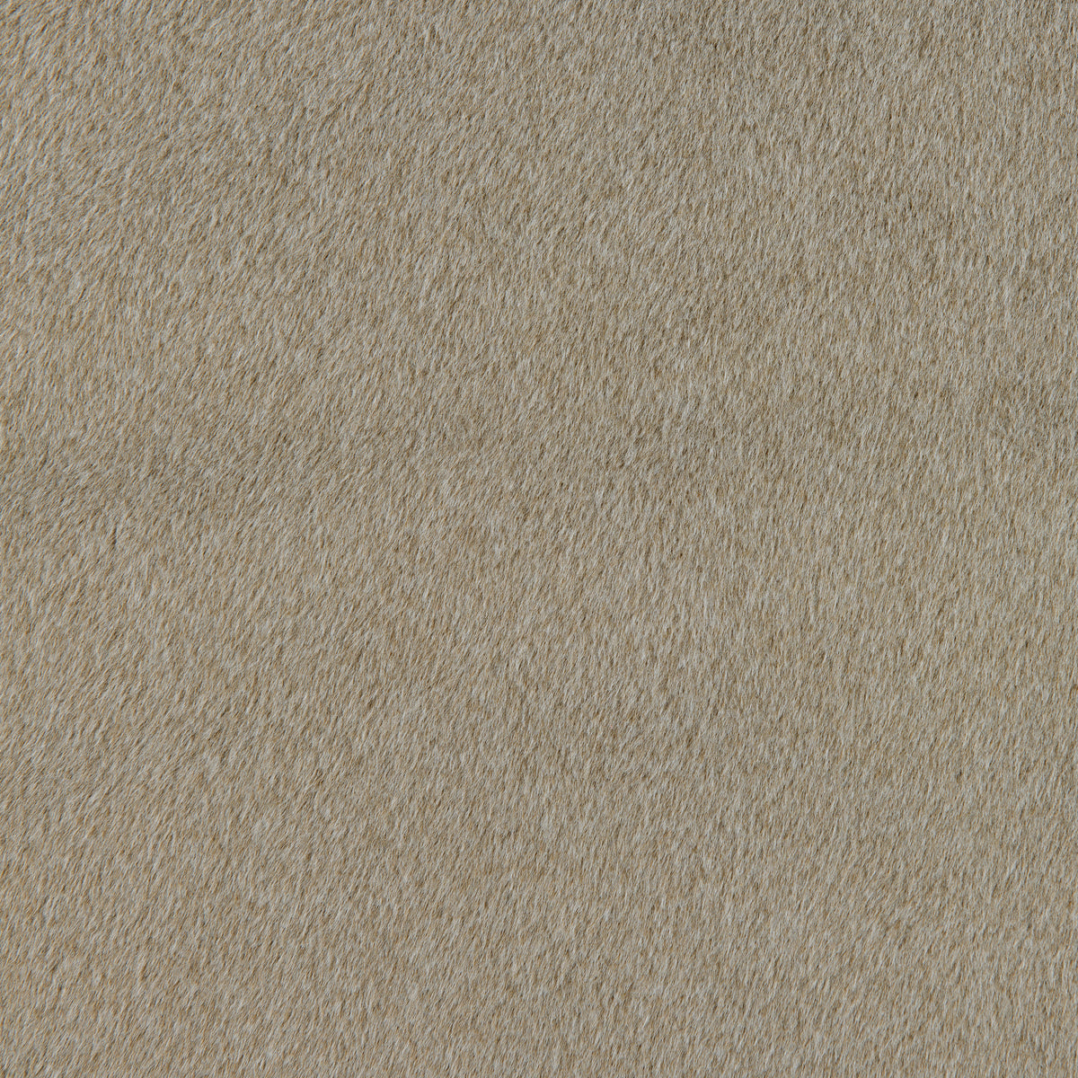 1739-202 Fabric