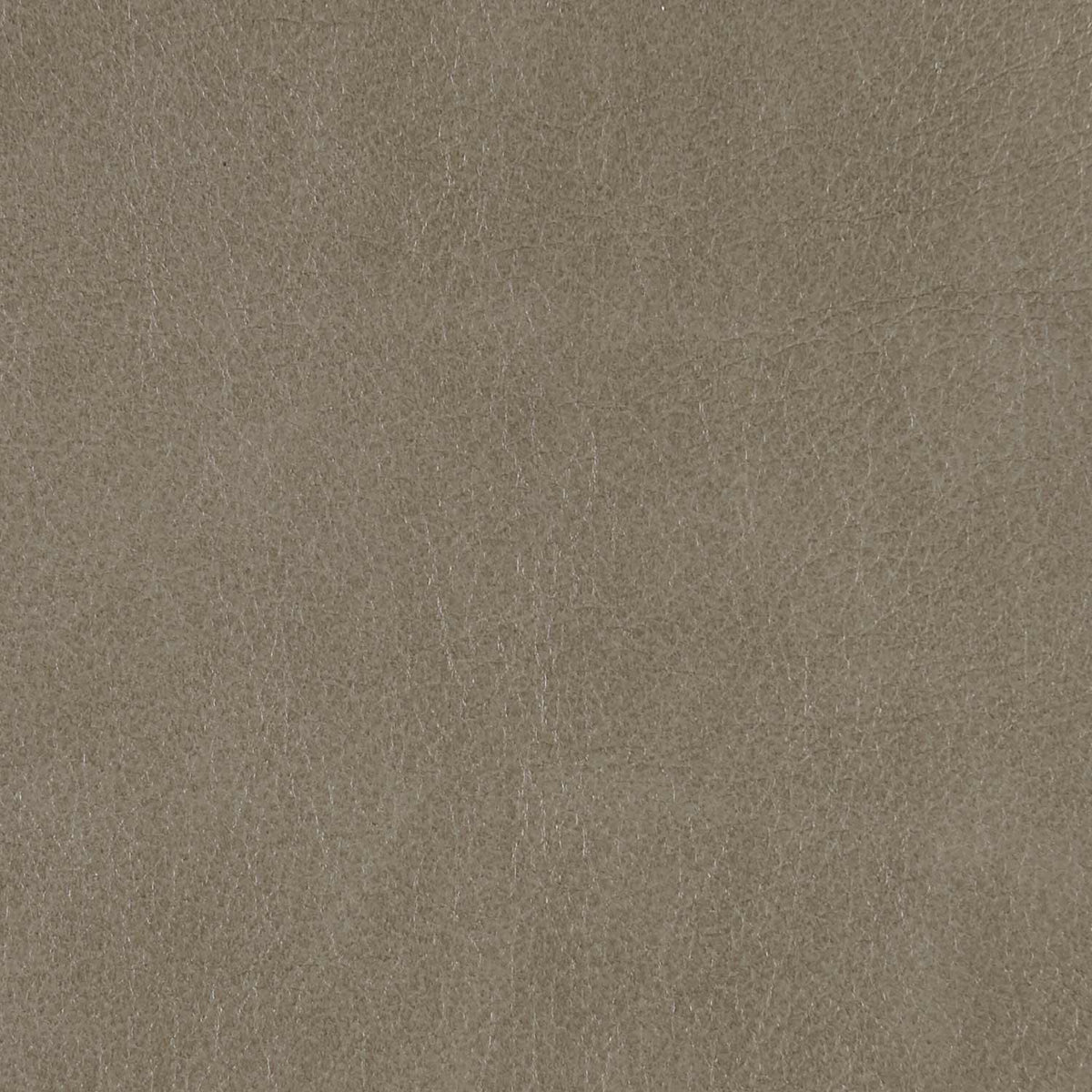 202-010 Leather