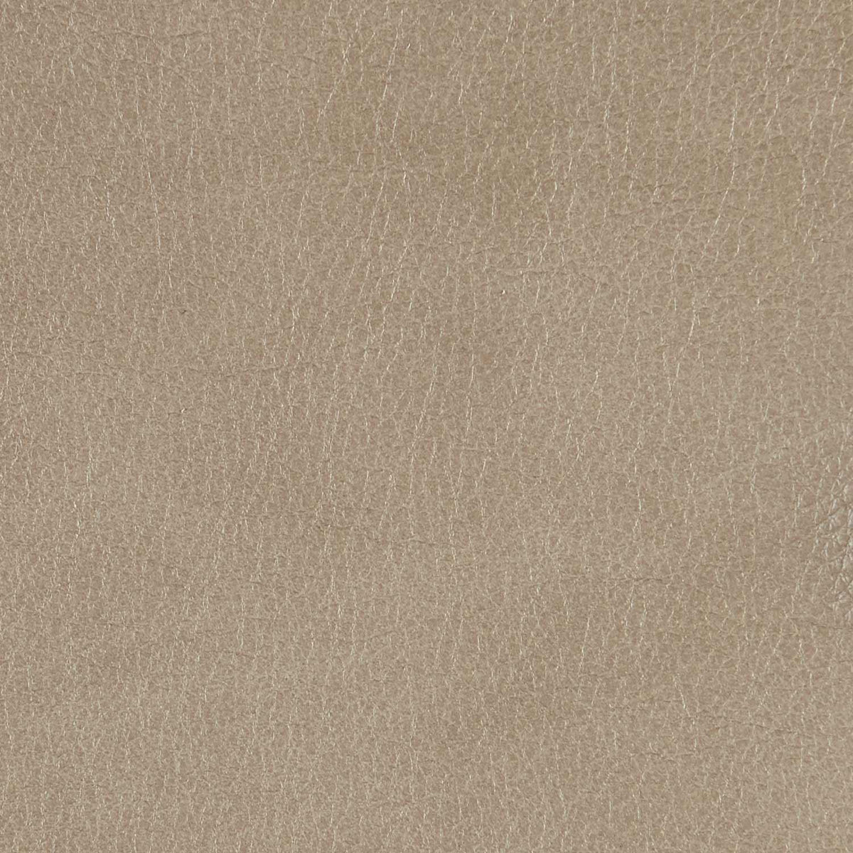 202-202 Leather