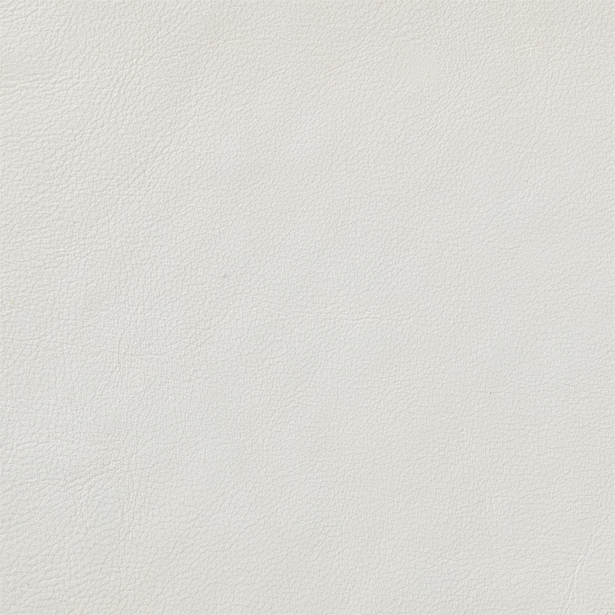 218-002 Leather