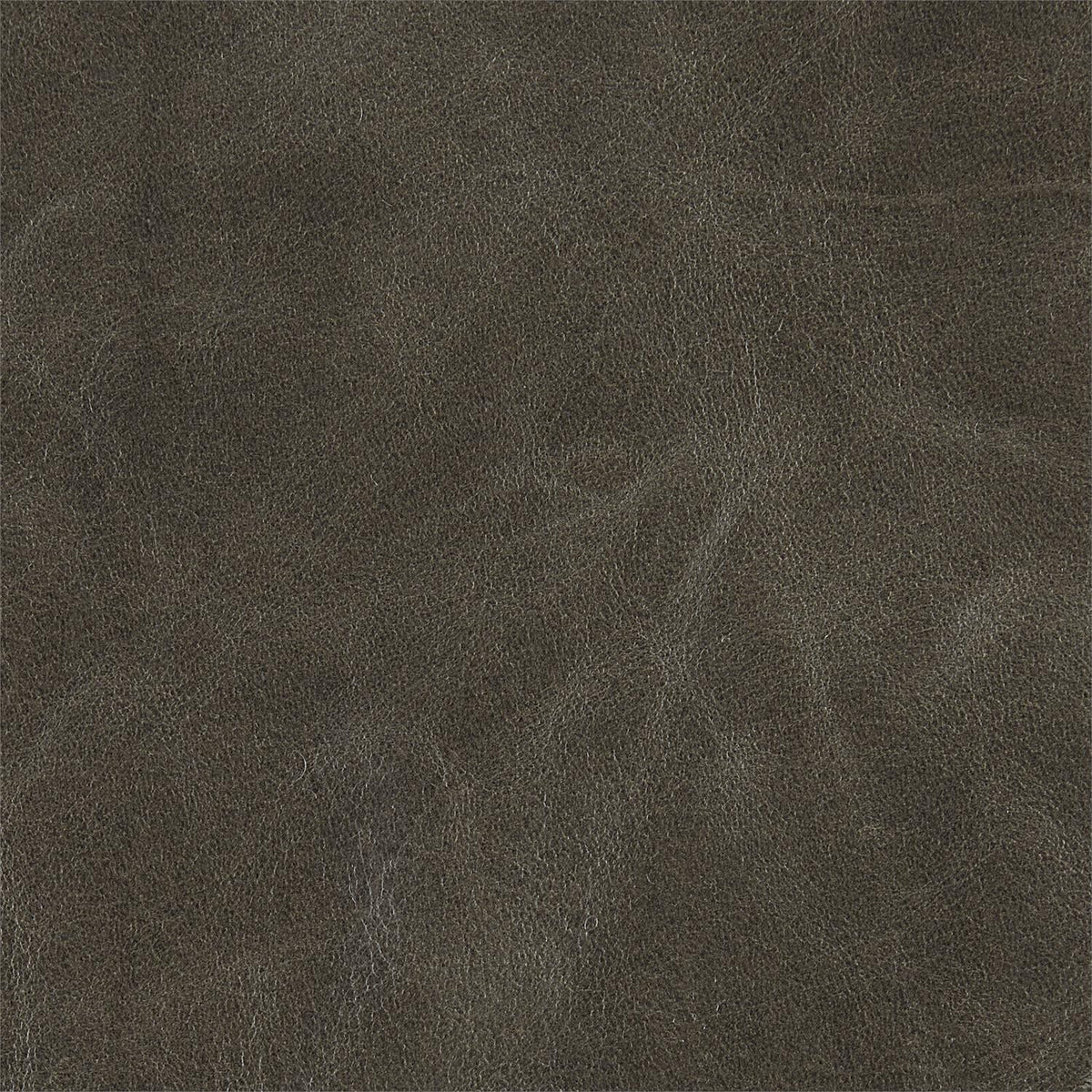 269-010 Leather
