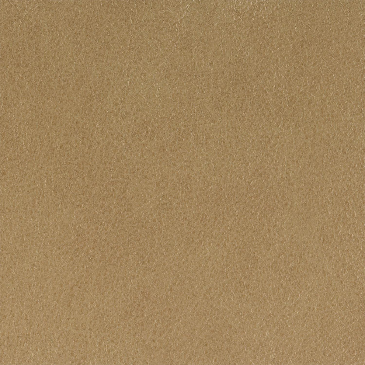 297-052 Leather