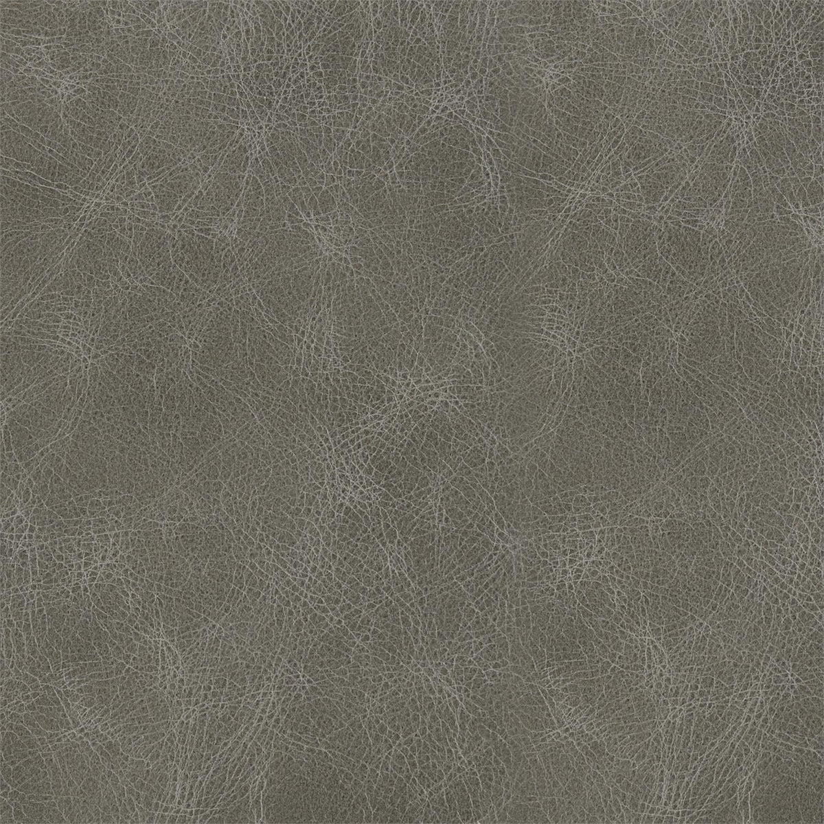 309-010 Leather