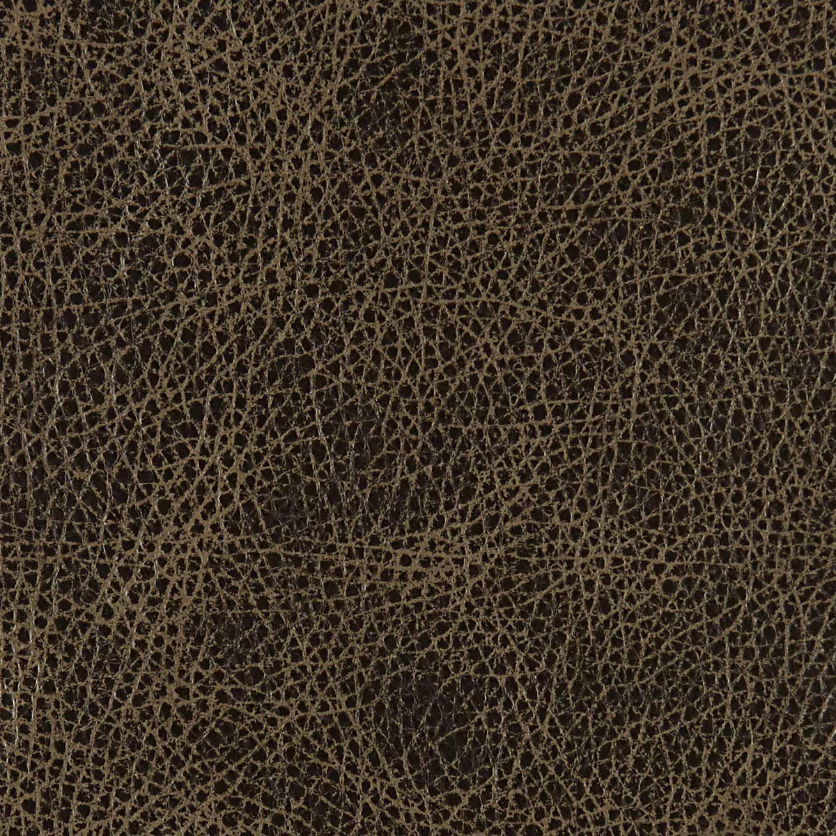 361-012 Leather