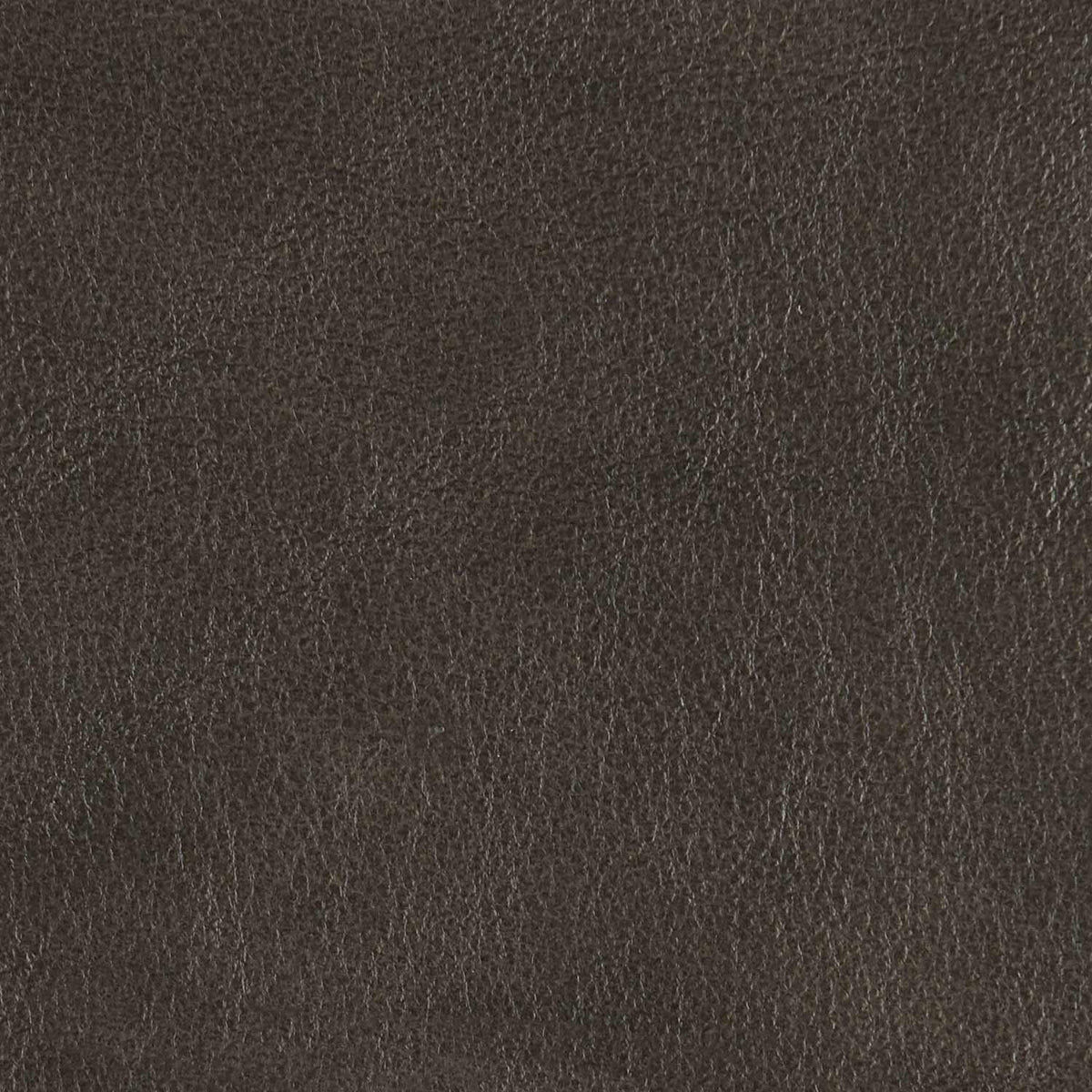 364-021 Leather