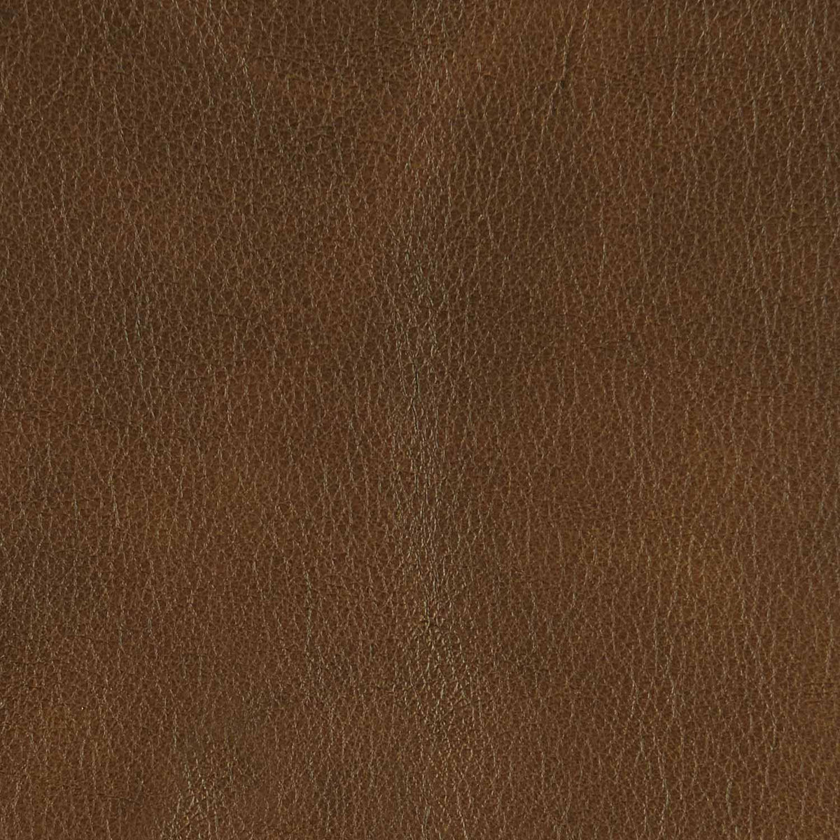 364-022 Leather