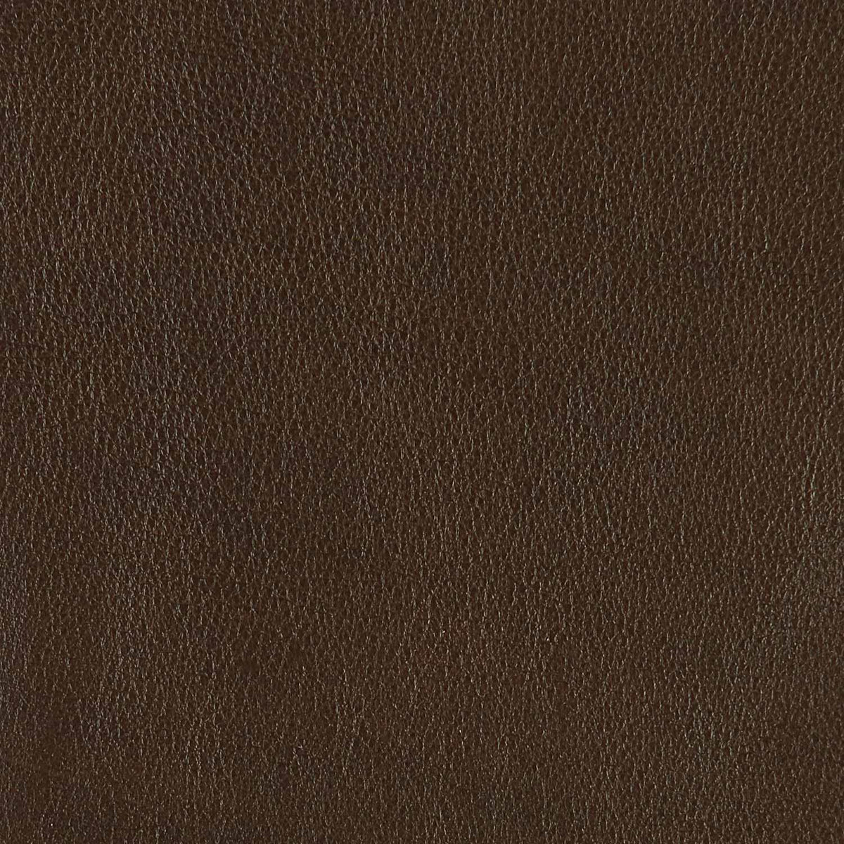 364-220 Leather