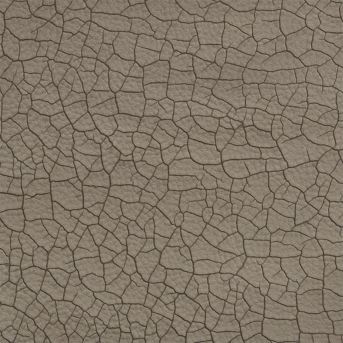 365-012 Leather