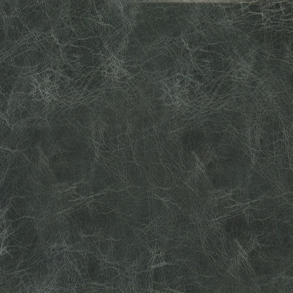 L502-001 Leather